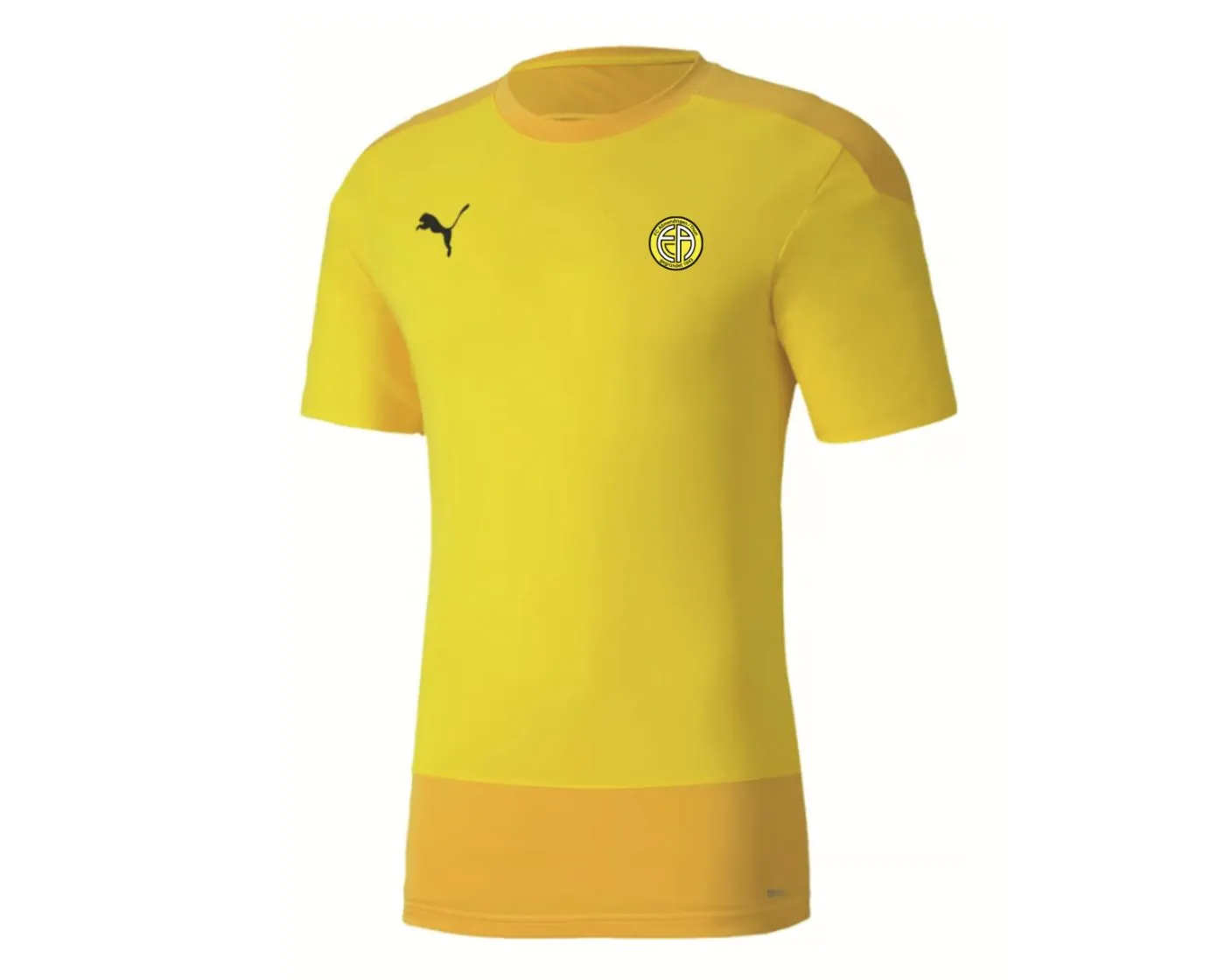 TEAMGOAL 23 Training Jersey
